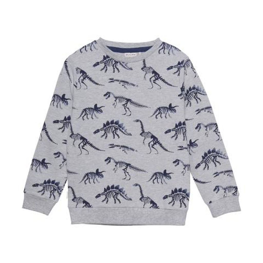 [132081-1310--104] Genser | Dinosaur (104)