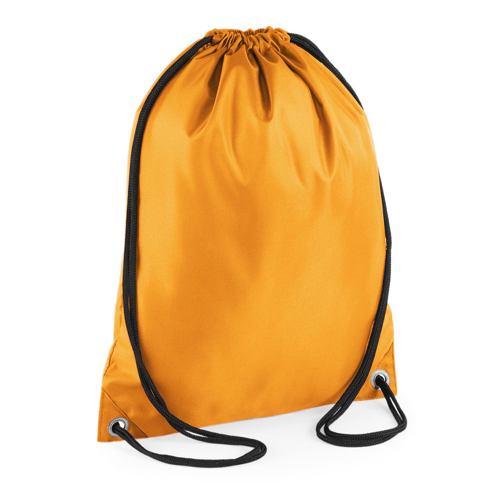 Budget Gymsac